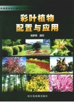 彩叶植物配置与应用
