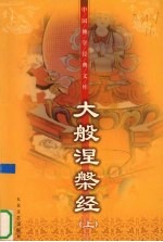 大般涅盘经 上 珍藏版