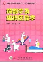解剖学及组织胚胎学