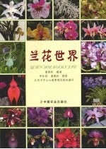 兰花世界