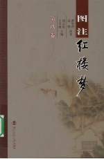 图注红楼梦 第9卷