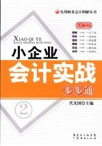 小企业会计实战步步通 图解版