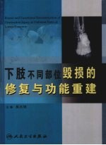 下肢不同部位毁损的修复与功能重建