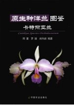 原生种洋兰图鉴 卡特丽亚兰
