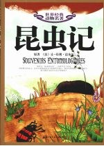 世界经典动物名著 6 昆虫记
