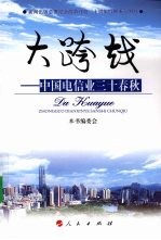 大跨越：中国电信业三十春秋