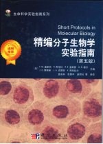 精编分子生物学实验指南 第5版