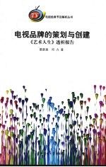 电视品牌的策划与创建:《艺术人生》透析报告