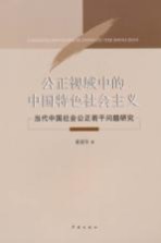 公正视域中的中国特色社会主义 当代中国社会公正若干问题研究