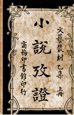 小说考证 上