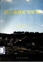 国外黄铁矿型矿床
