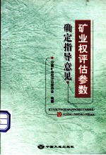 矿业权评估参数确定指导意见(CMVS 30800-2008)