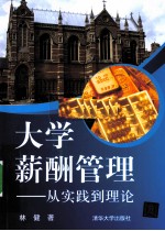大学薪酬管理 从实践到理论