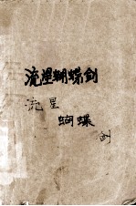 流星蝴蝶剑 下