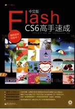 中文版Flash CS6高手速成 全彩