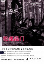 驼鹿敲门