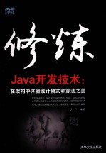 修炼Java开发技术 在架构中体验设计模式和算法之美