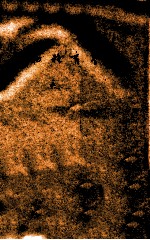 作物育种学 第3册