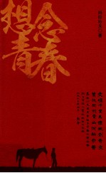 想念青春