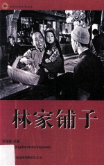 红色经典电影阅读 林家铺子