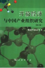 开放经济与中国产业组织研究 修订版