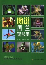 图说国兰瓣形美