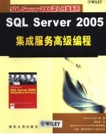 SQL Server 2005深入开发系列 SQL Server 2005集成服务高级编程