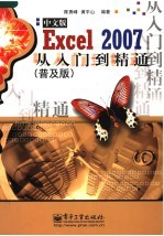 Excel 2007中文版从入门到精通 普及版