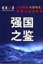 强国之鉴 八位央视《大国崛起》专家之深度解读