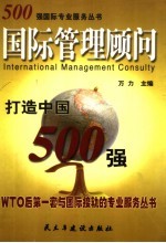 500强国际管理顾问