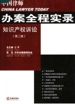 知识产权诉讼 第2版