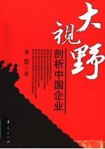 大视野 剖析中国企业