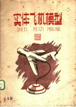 实体飞机模型