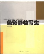 色彩静物写生