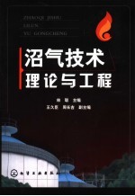 沼气技术理论与工程