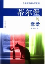 蒂尔堡的雪柔 一个中国交换生在欧洲
