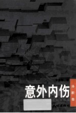 意外内伤 诗歌卷