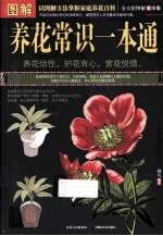 图解养花常识一本通 美绘版