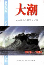 大潮 南京区县改革开放纪事1979年-1994