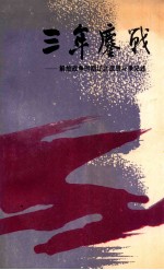三年鏖战 解放战争时期辽北武装斗争记述
