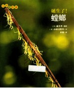 诞生了!螳螂