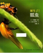 诞生了!瓢虫
