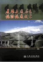道路交通应急抢险抢通技术