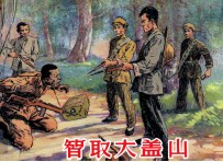 智取大盖山