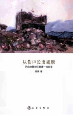 从伤口长出翅膀 芦山地震灾区重建一线实录