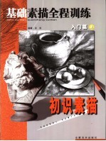 基础素描全程训练 入门篇 上,初识素描