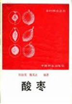 酸枣