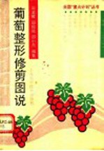 葡萄整形修剪图说