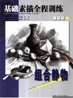 基础素描全程训练 基础篇 下 组合静物