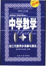 中学1+1·同步讲解与测试 初三代数